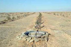 کاشت 25 هزار نهال برای توسعه پایدار محیط زیست منطقه سنگان