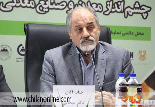 دولت، سیاست گذار توسعه فولاد باشد