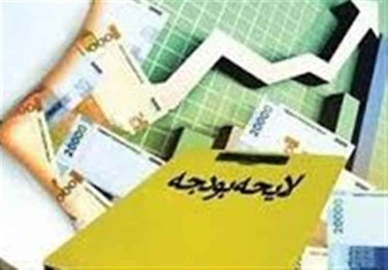 برای پرداخت مطالبات بخش خصوصی از دولت در لایحه بودجه ردیفی دیده نشده است