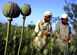 صنعتی به گستردگی تجارت جهانی مواد مخدر صنعتی به گستردگی تجارت جهانی مواد مخدر