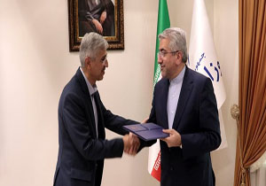 مدیرعامل جدید توانیر معرفی شد