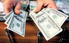 برنامه‌ریزی دولت برای پایداری نرخ‌ها در بازار ارز