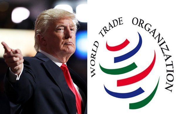 جنگ تجاری آمریکا و غرب، WTO را به میدان کشاند