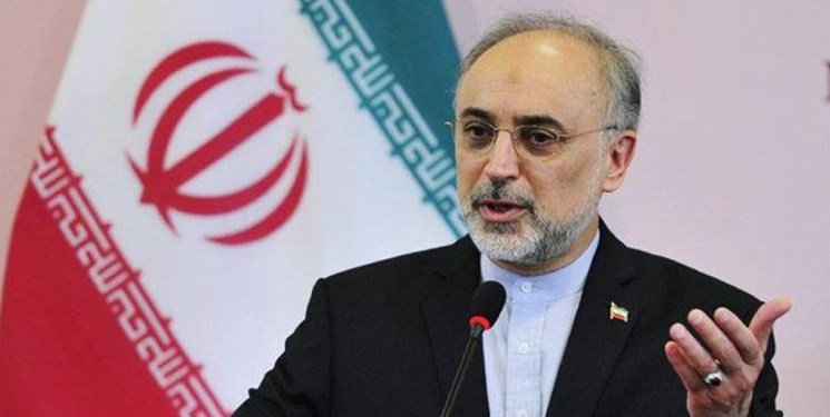 بودجه هنگفت انرژی اتمی دروغ بزرگ است/انتقاد از قیمت پایین خرید برق نیروگاه بوشهر بودجه هنگفت انرژی اتمی دروغ بزرگ است/انتقاد از قیمت پایین خرید برق نیروگاه بوشهر