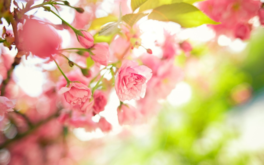پیام نوروزی مدیرعامل شرکت معدنی و صنعتی گل گهر