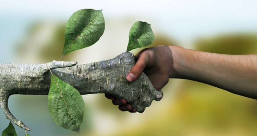 تغییرات سبز در اجرای پروژه سبز تغییرات سبز در اجرای پروژه سبز