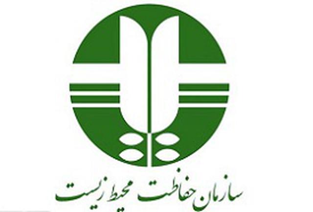 مشاهده چند گوزن زرد در منطقه حفاظتشده دز/هنوز لاشهای از ۱۹ گوزن مفقودی پیدا نکردیم مشاهده چند گوزن زرد در منطقه حفاظتشده دز/هنوز لاشهای از ۱۹ گوزن مفقودی پیدا نکردیم