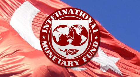 اختلاف بانک مرکزی ترکیه با IMF بر سر میزان ذخایر ارزی اختلاف بانک مرکزی ترکیه با IMF بر سر میزان ذخایر ارزی
