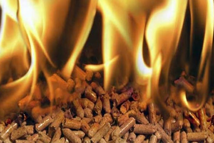 زیست توده چهارمین منبع بزرگ انرژی در دنیا
