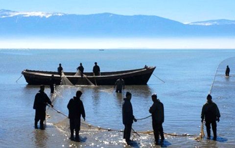 شیلات مازندران پیگیر مطالبات بیمه‌ای صیادان است