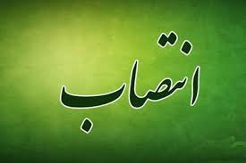 تقی زاده مشاور عالی خود را معرفی کرد/ طیبی مشاور عالی مدیرعامل گل گهر شد