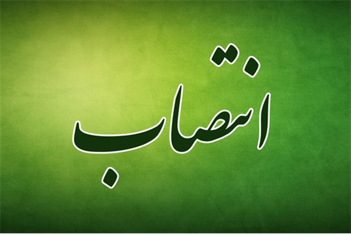 نماینده شرکت سرمایه گذاری توسعه معادن و فلزات در هیات مدیره گل گهر معرفی شد نماینده شرکت سرمایه گذاری توسعه معادن و فلزات در هیات مدیره گل گهر معرفی شد
