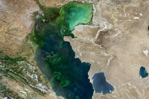 کتاب پژوهشهای نوین در حوضه زمینشناسی نفت و گاز دریای خزر منتشر شد کتاب پژوهشهای نوین در حوضه زمینشناسی نفت و گاز دریای خزر منتشر شد
