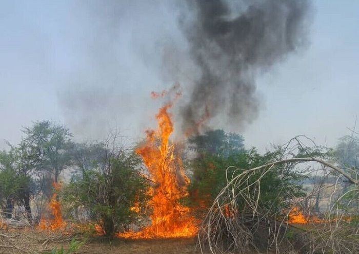 مشارکت نفت و گاز مارون در مهار حریق جنگلهای غیزانیه مشارکت نفت و گاز مارون در مهار حریق جنگلهای غیزانیه