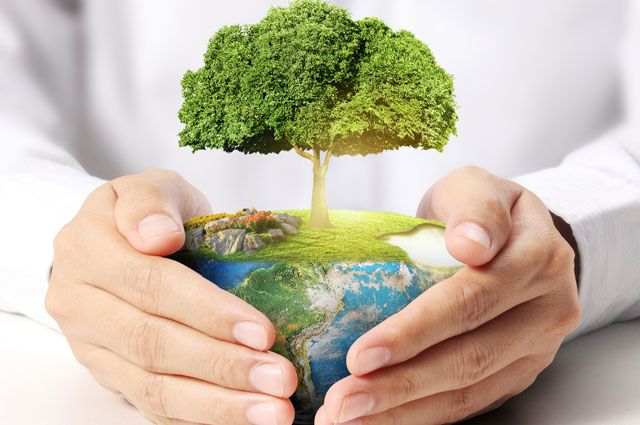 حضورشرکتهای تابعه هلدینگ سیمانی شستا درهجدهمین نمایشگاه بین المللی محیط زیست