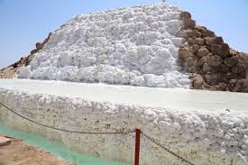 تعدیل نیرو در پتاس نخواهیم داشت تعدیل نیرو در پتاس نخواهیم داشت