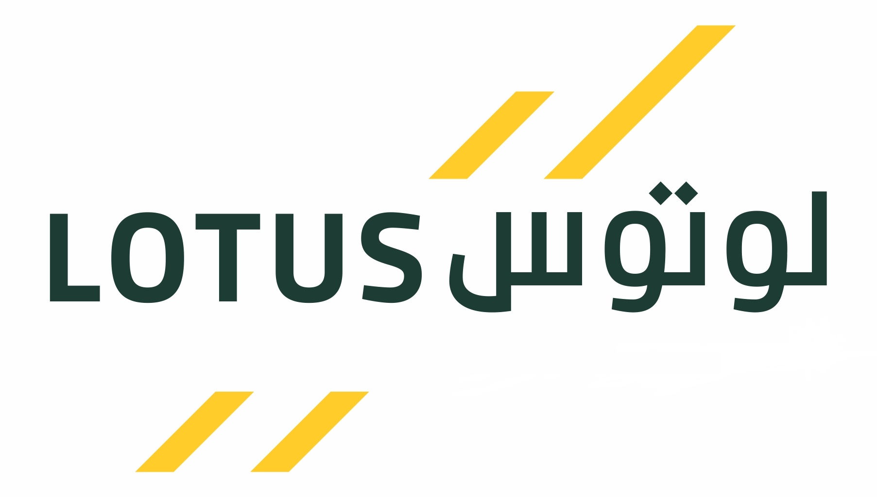 ورود «لوتوس» به حوزههای جدید ورود «لوتوس» به حوزههای جدید