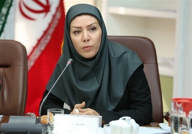 قانون صندوق ضمانت صادرات بازنگری میشود/ پوشش ۱ میلیارد دلاری ریسک صادرات در ۵ ماه قانون صندوق ضمانت صادرات بازنگری میشود/ پوشش ۱ میلیارد دلاری ریسک صادرات در ۵ ماه