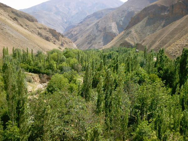 هزینه کردن اعتبارات اشتغال روستایی توسعه پایدار ایجاد میکند هزینه کردن اعتبارات اشتغال روستایی توسعه پایدار ایجاد میکند