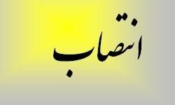 محمد کشانی مدیر عامل پارس فولاد سبزوار شد