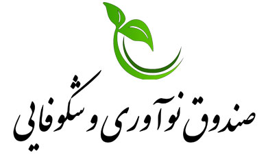 مرحله جدید همکاری «وبملت» با صندوق نوآوری مرحله جدید همکاری «وبملت» با صندوق نوآوری