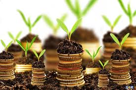 افزایش ۸۰ درصدی اعطای تسهیلات مالی و ۱۵ درصدی صدور ضمانت نامه در ۶ ماهه نخست امسال