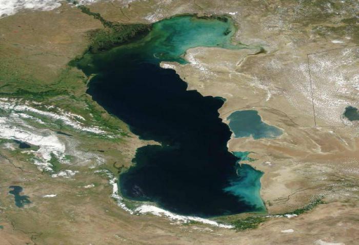 سازمان محیط زیست به جای انتقال آب خزر فاجعه پسماند شمال را رفع کند سازمان محیط زیست به جای انتقال آب خزر فاجعه پسماند شمال را رفع کند