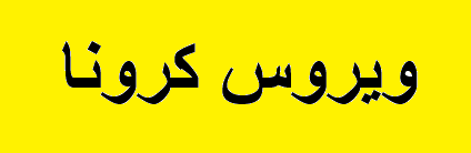 کرونا به عسلویه می‌رسد/ قبل از آلوده شدن به فکر پایتخت انرژی کشور باشید