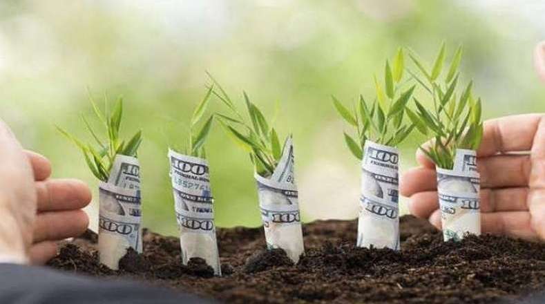 نرخ ارز، واقعی نیست!