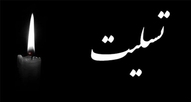 وزیر نفت درگذشت حسین کاظمپور اردبیلی را تسلیت گفت وزیر نفت درگذشت حسین کاظمپور اردبیلی را تسلیت گفت