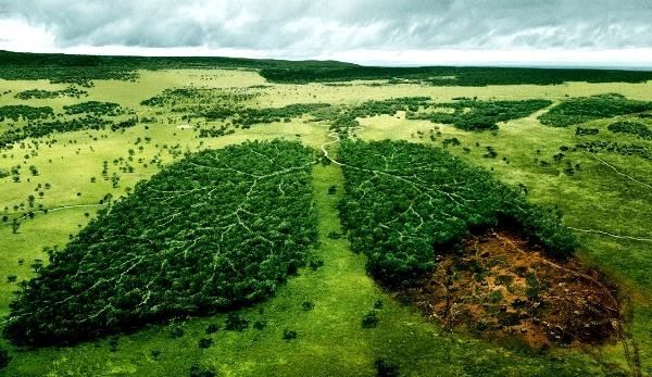 از تخریب آبیدر تا آلودگی زیست محیطی معادن طلای کردستان