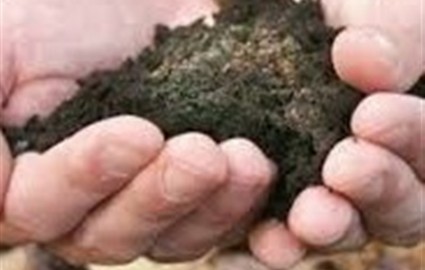 کشمکش و جدال دولت و بخش خصوصی بر سر مالکیت پسماند روی/ دستگاه قضا به نفع مردم رای‌ داد