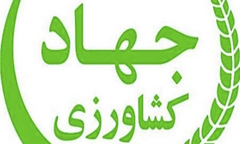 83 درصد نیاز برنج امسال کشور از داخل تامین می شود