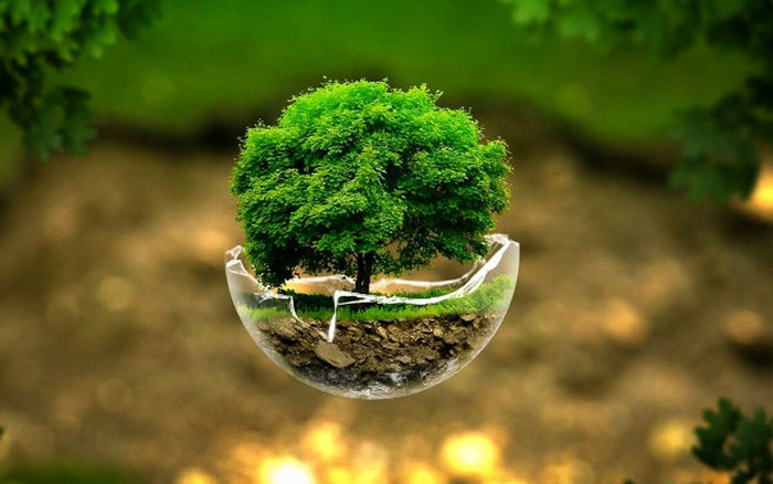 احداث معادن چه تاثیراتی بر محیط زیست دارد؟ احداث معادن چه تاثیراتی بر محیط زیست دارد؟