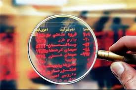 دو عرضه بلوکی این هفته کدامند دو عرضه بلوکی این هفته کدامند