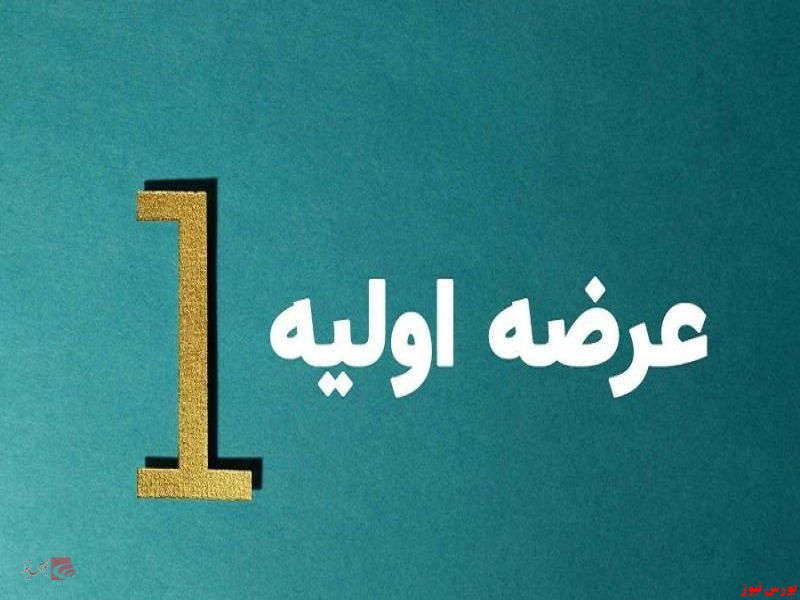تخصیص ۶ سهم در عرضه اولیه "رافزا"