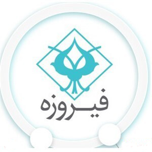 سهم بالای "سرمایه‌گذاری‌ها" در سبد سهام "فیروزه"
