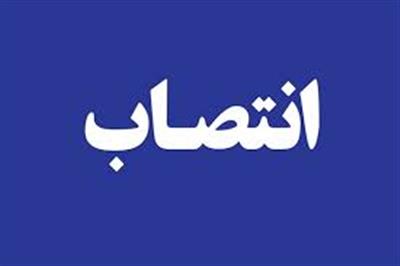 بر اساس این گزارش، هادی قوامی دارای مدرک تحصیلی دکترای اقتصاد است و در دوره های هشتم، نهم و دهم مجلس شورای اسلامی نمایندهٔ حوزهٔ انتخابیهٔ اسفراین و بام و صفی آباد بوده است بر اساس این گزارش، هادی قوامی دارای مدرک تحصیلی دکترای اقتصاد است و در دوره های هشتم، نهم و دهم مجلس شورای اسلامی نمایندهٔ حوزهٔ انتخابیهٔ اسفراین و بام و صفی آباد بوده است