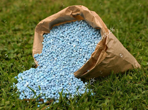 با حمایت شرکت مس در تولید کودهای شیمیایی و فسفاته خودکفا میشویم با حمایت شرکت مس در تولید کودهای شیمیایی و فسفاته خودکفا میشویم