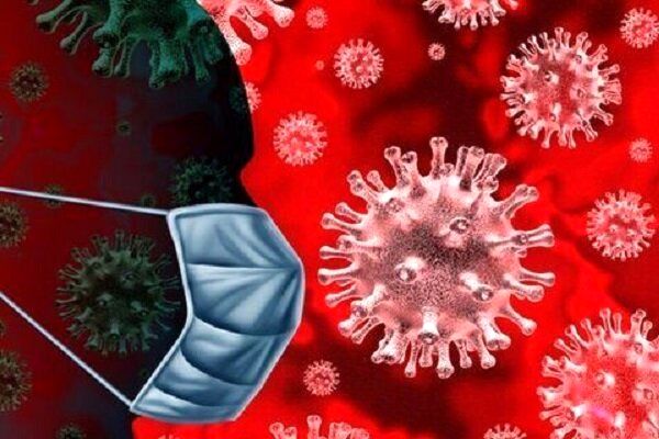 حمایت بنگاههای اقتصادی از آسیبدیدگان کرونا به نفع همه ذینفعان است حمایت بنگاههای اقتصادی از آسیبدیدگان کرونا به نفع همه ذینفعان است