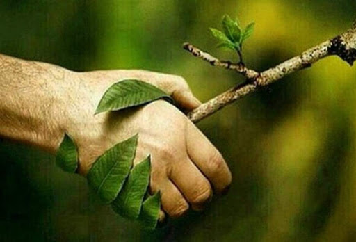 تصمیمات دولت برای رفع آلودگی های محیط زیستی ناشی از صنایع مستقر در منطقه ویژه اقتصادی انرژی پارس/ مصوبه مربوط به قانون تعیین تکلیف استخدامی معلمین حق التدریس و آموزشیاران سوادآموزی در وزارت آموزش و پرورش اصلاح شد