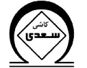 "کسعدی" در مجمع تصمیم میگیرد "کسعدی" در مجمع تصمیم میگیرد