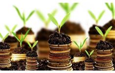 افزایش استقبال سرمایهگذاران برای فعالیتهای تولیدی در قم افزایش استقبال سرمایهگذاران برای فعالیتهای تولیدی در قم