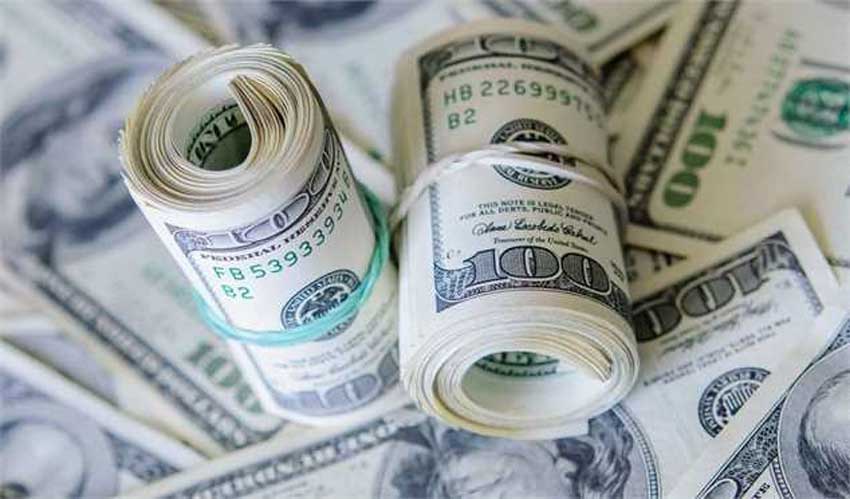 بهبود نظام توزیع کالا در گرو حذف ارز دولتی است