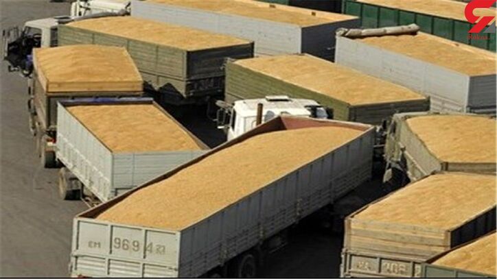 هر گونه فروش خاک به خارج از کشور ممنوع است