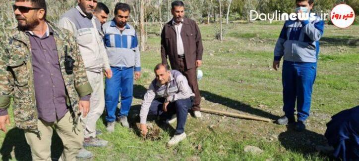 اولین طرح نهالکاری (بلوط) در کارخانه سیمان کارون مسجدسلیمان برگزار شد