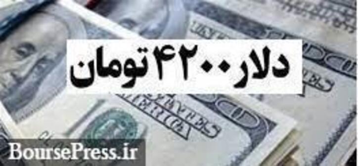 انتقاد شدید نماینده مجلس از حذف دلار ۴۲۰۰ تومانی و بر مبنای دو دروغ!