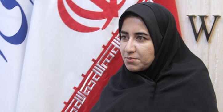 رایزنی برای سرمایه گذاری هلدینگ اقتصادی شستا در ایلام