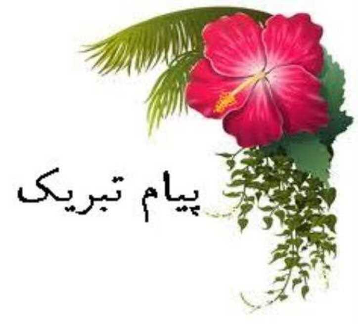 پیام تبریک مدیرعامل ذوب آهن اصفهان در پی انتصاب دکتر امیرحسین نادری به عنوان سرپرست مدیریت عامل شرکت سرمایه گذاری صدر تامین