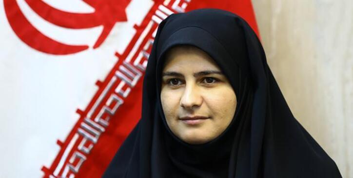 دولت به میزان سهام خود در ایران خودرو و سایپا دخالت کند/ بزرگترین ابزار دولت برای ساماندهی صنعت خودرو واردات است